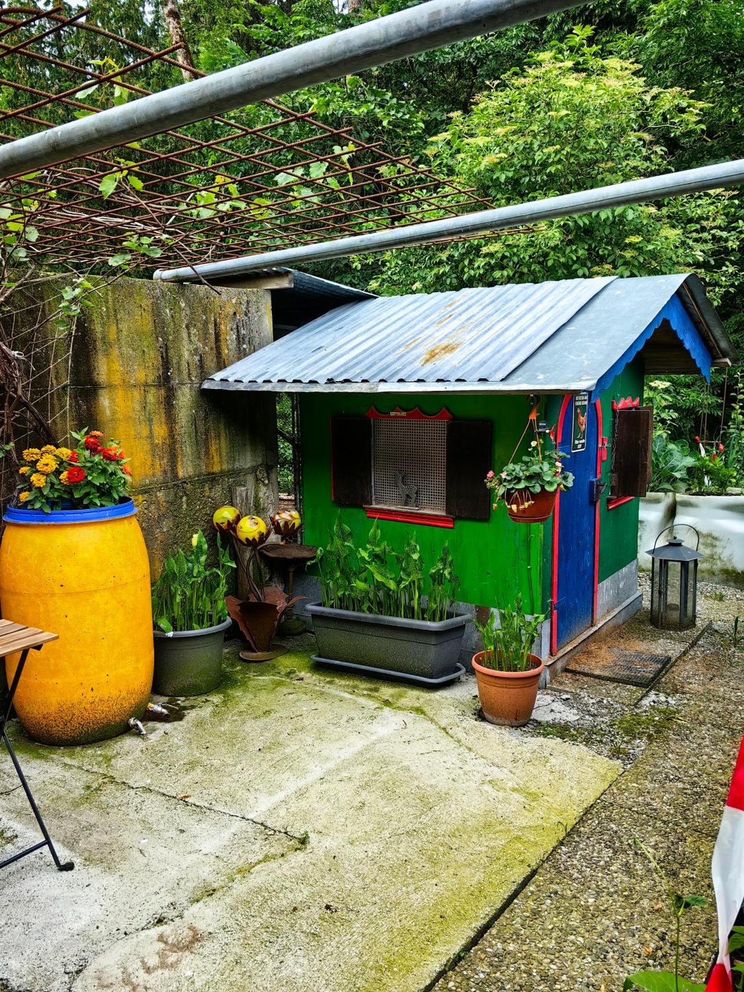 Apartament Voegelhof Doren Zewnętrze zdjęcie